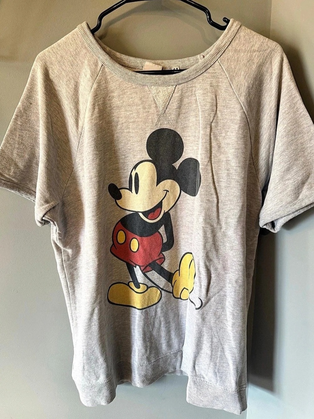 Junk Food Disney Mickey Mouse Short Sleeve Sweatshirt Tee Gray Medium